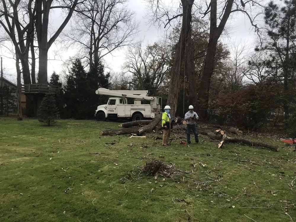 Custom landscaping services for beautiful yards in Crystal Lake, IL by Ace Landscaping