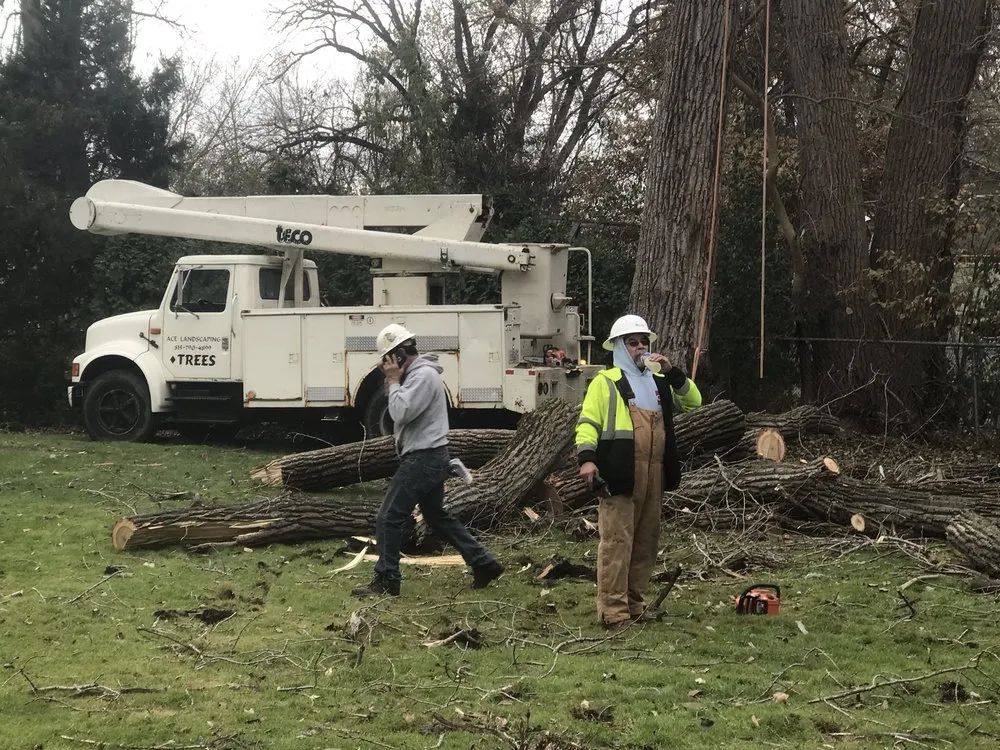 Custom residential landscaping near you in Crystal Lake, IL by Ace Landscaping