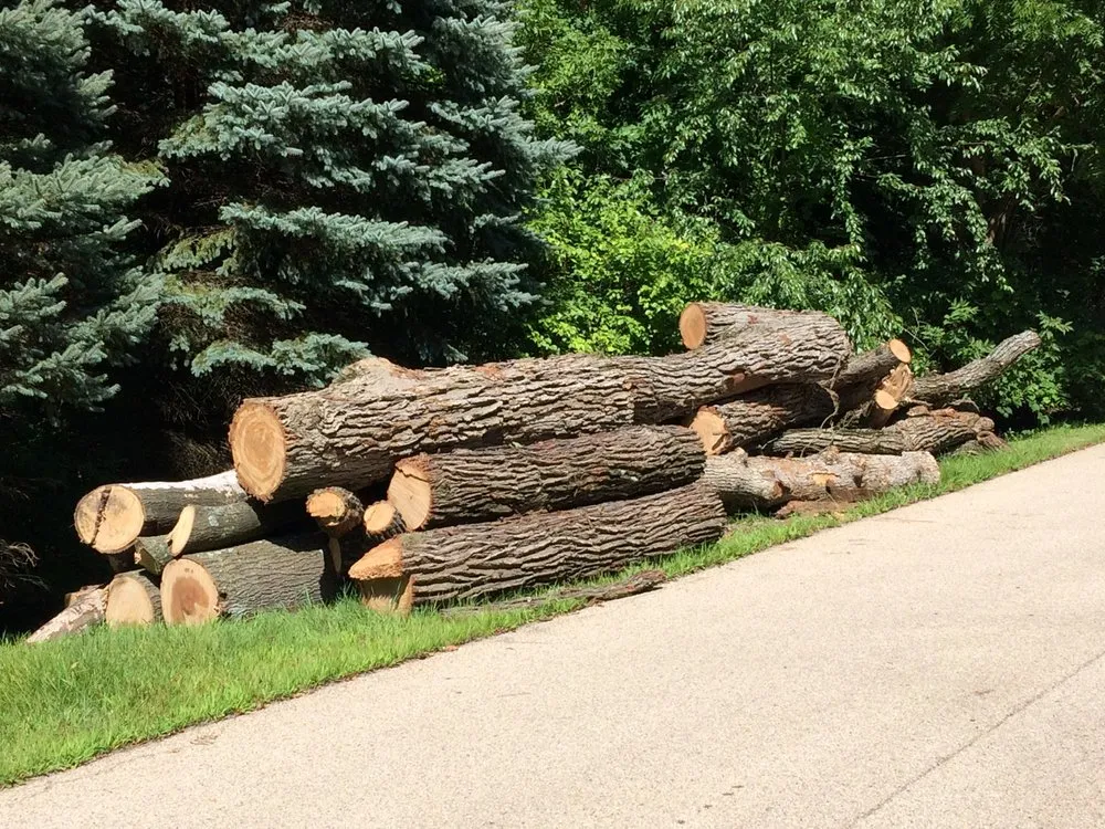 Affordable landscape design near you in Crystal Lake, IL by Ace Landscaping