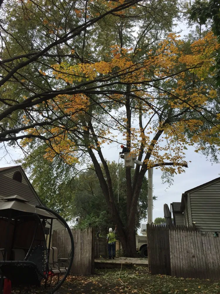 Affordable yard cleanup service in Crystal Lake, IL - Ace Landscaping