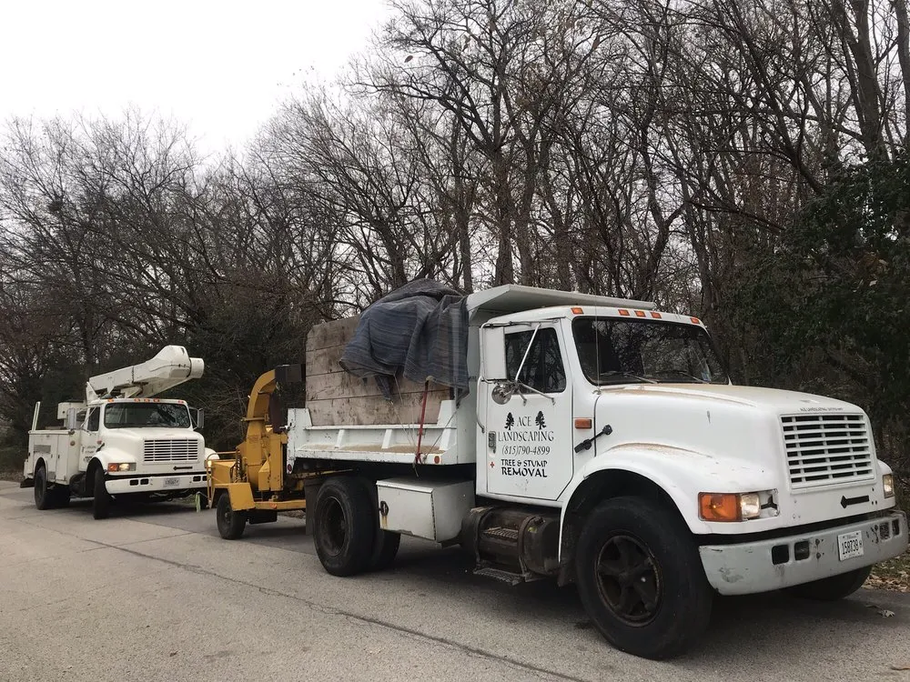 Custom yard maintenance for outdoor upgrades in Crystal Lake, IL by Ace Landscaping