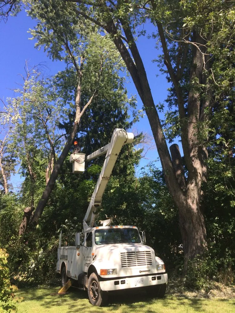 Expert yard maintenance experts serving Crystal Lake, IL - Ace Landscaping