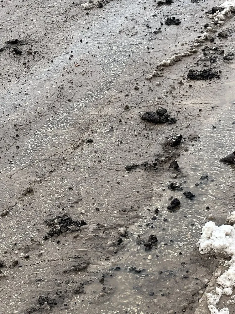 Top-rated outdoor landscaping for residential properties in Ferndale, MI by Ace Landscaping, Lawn Care & Snow Removal