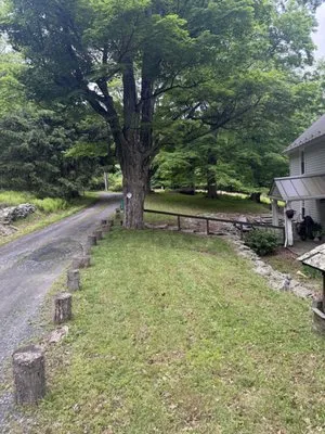 Ace Landscaping Services