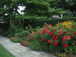 Trusted yard cleanup service in Valley Stream, NY - Ace Landscaping Services INC