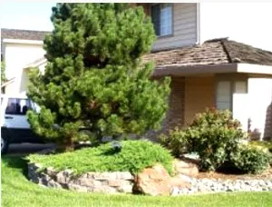 Professional residential landscaping in Valley Stream, NY by Ace Landscaping Services INC