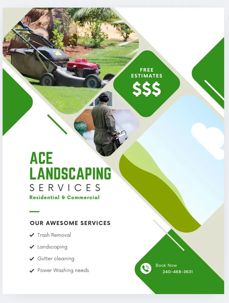 Local yard maintenance experts serving Silver Spring, MD - Ace Landscaping