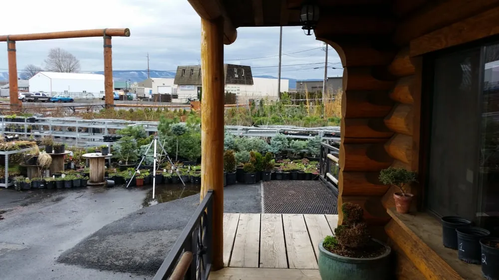 Reliable yard maintenance in Walla Walla, WA by Ace landscaping