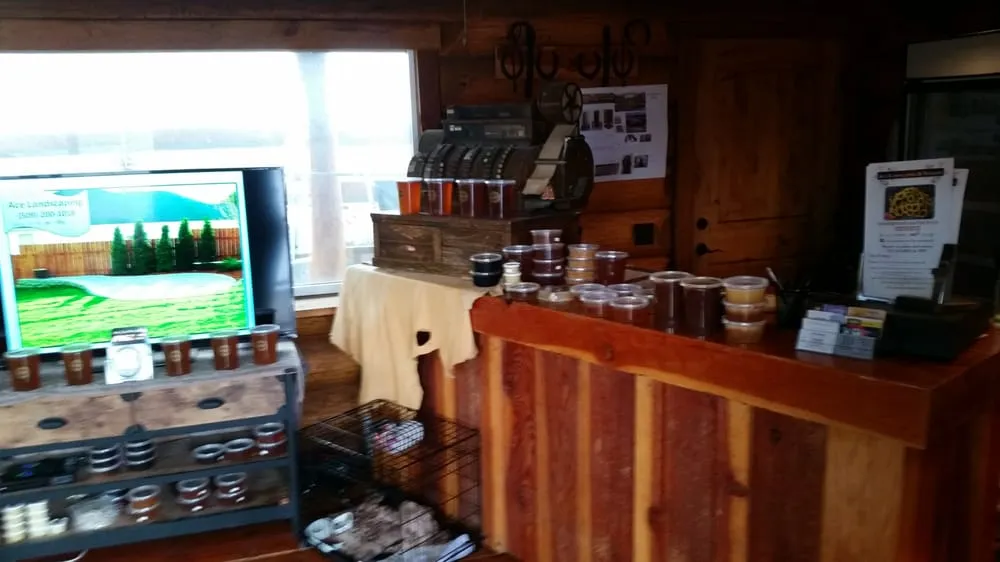 Reliable yard maintenance for outdoor upgrades in Walla Walla, WA by Ace landscaping