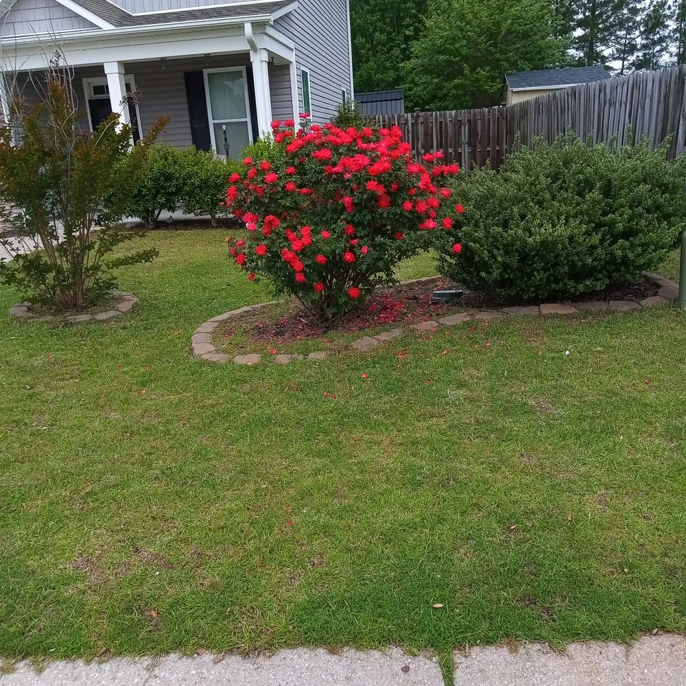 Custom lawn mowing service in Winnabow, NC by Ace Landscaping