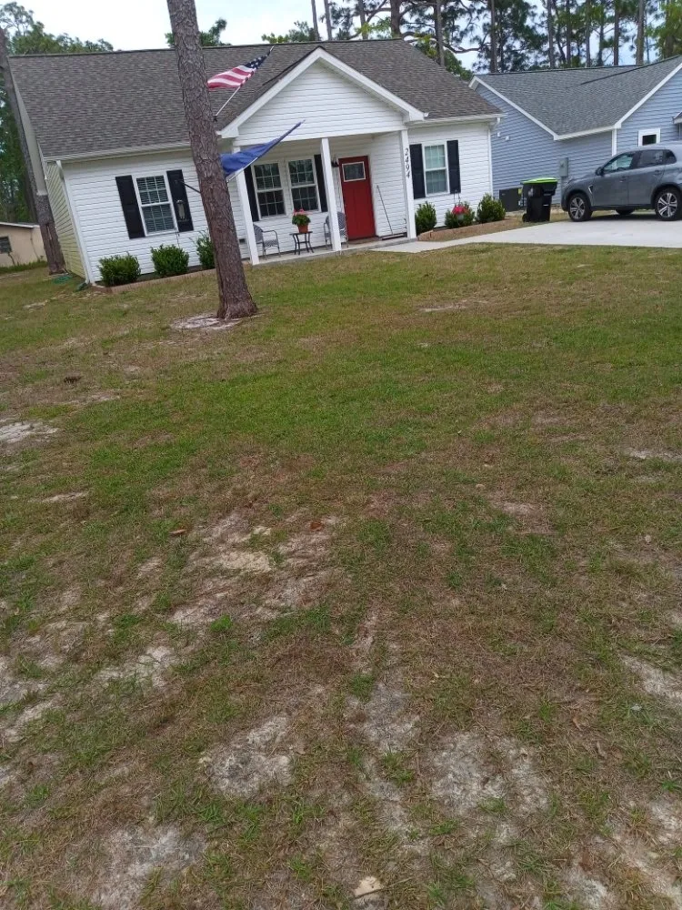 Reliable outdoor landscaping in Winnabow, NC - Ace Landscaping