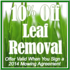 Reliable yard cleanup service in Millersville, MD by ACE Lawn & Landscaping