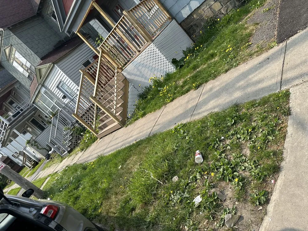 Local yard cleanup service in Yorkville, NY by Ace Lawn & Property Management