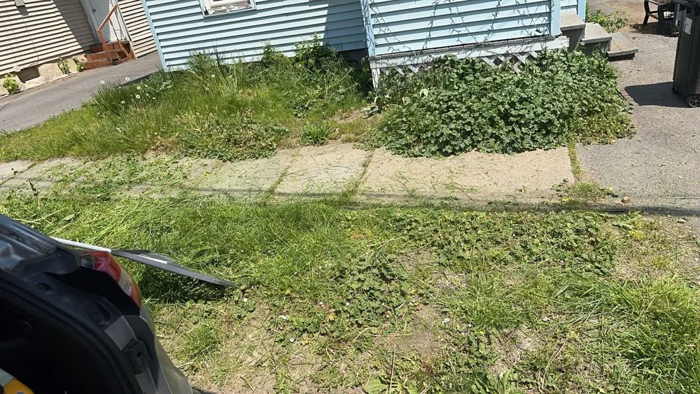 Custom yard cleanup service for year-round maintenance across Yorkville, NY - Ace Lawn & Property Management