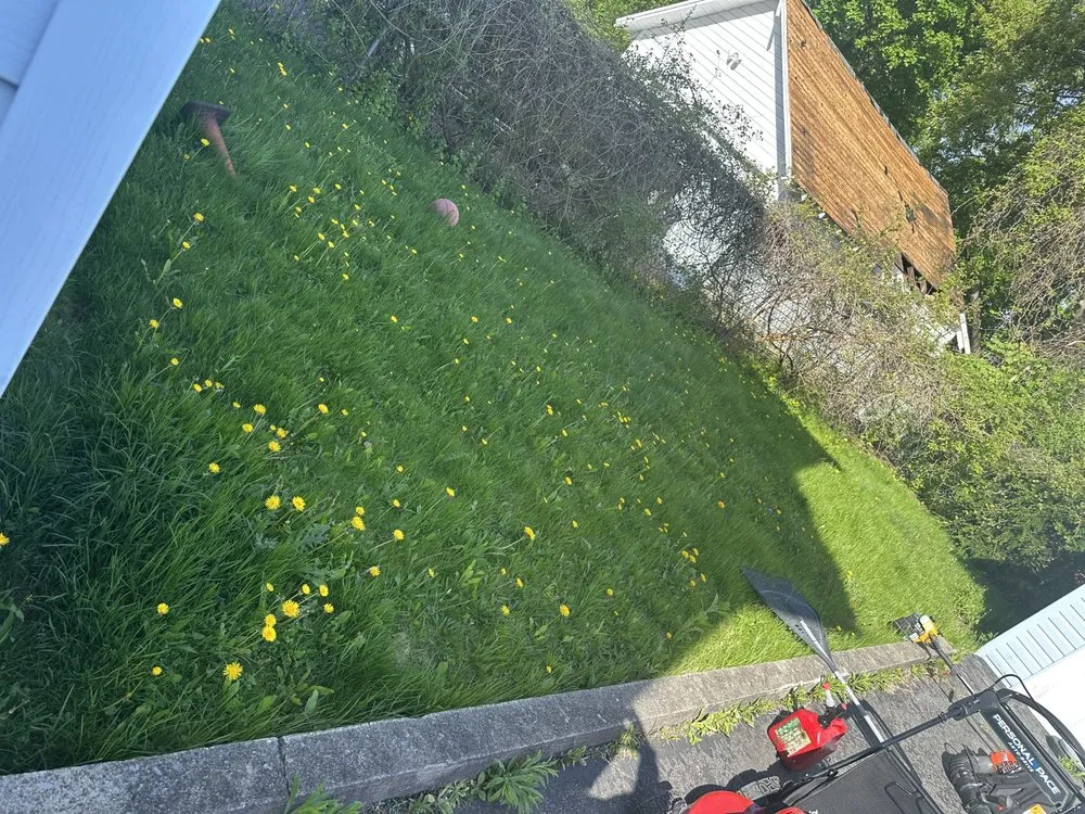 Trusted lawn care service for beautiful yards across Yorkville, NY - Ace Lawn & Property Management