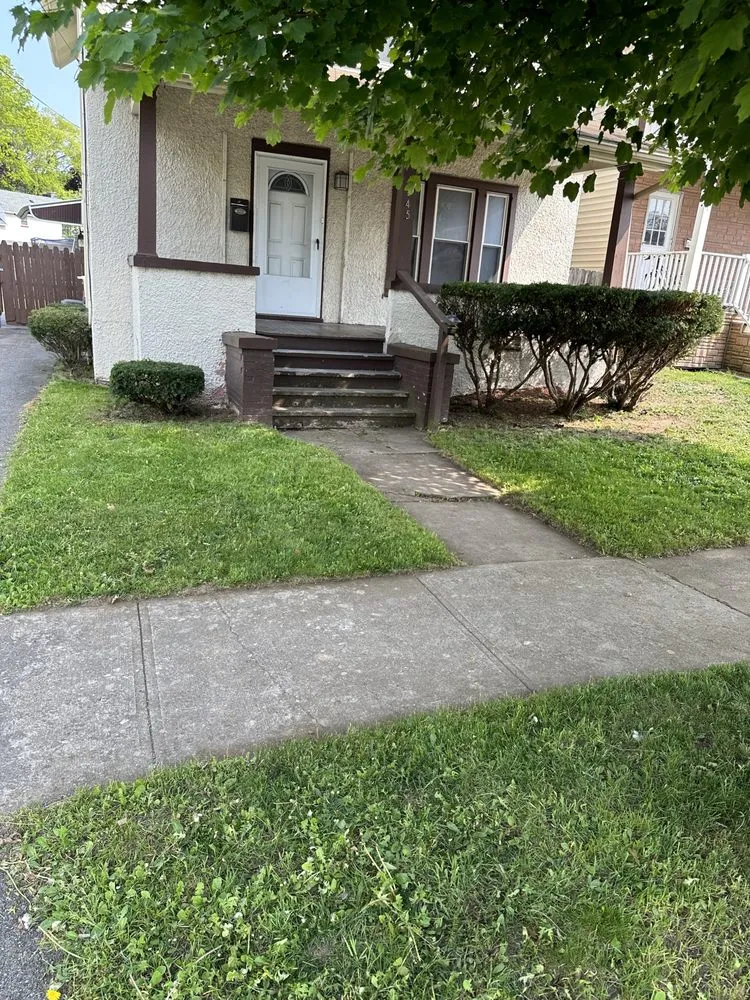 Reliable yard cleanup service in Yorkville, NY - Ace Lawn & Property Management