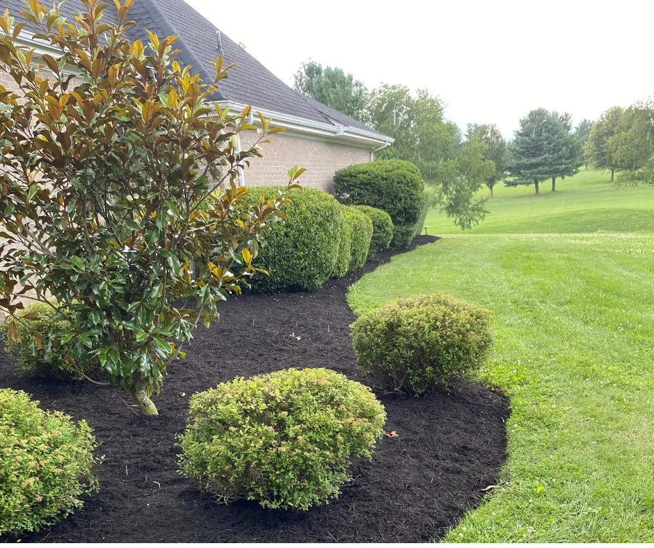Affordable landscaping services in Christiansburg, VA by Ace Lawn and Garden