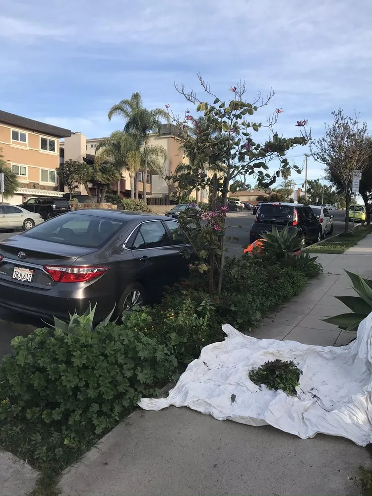 Trusted residential landscaping in Escondido, CA - Ace Lawn Care