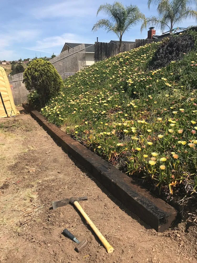 Reliable yard cleanup service experts serving Escondido, CA - Ace Lawn Care