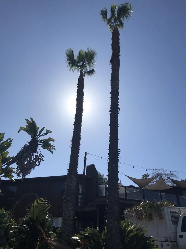 Custom landscape design experts serving Escondido, CA - Ace Lawn Care