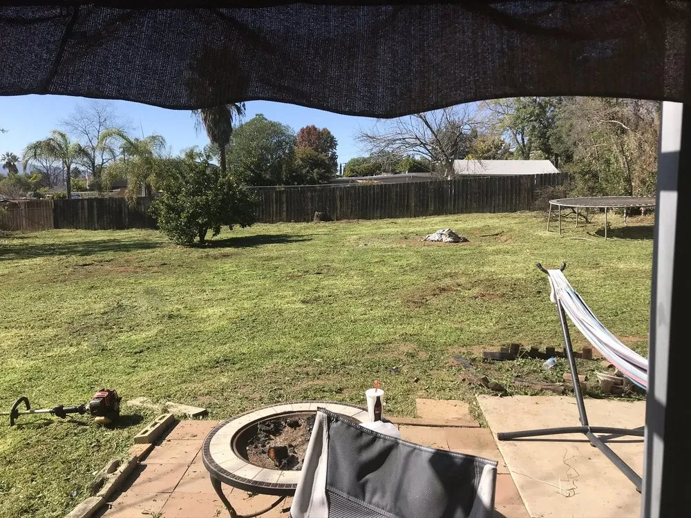 Reliable lawn care service in Escondido, CA - Ace Lawn Care