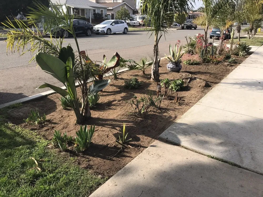 Professional lawn care service experts serving Escondido, CA - Ace Lawn Care