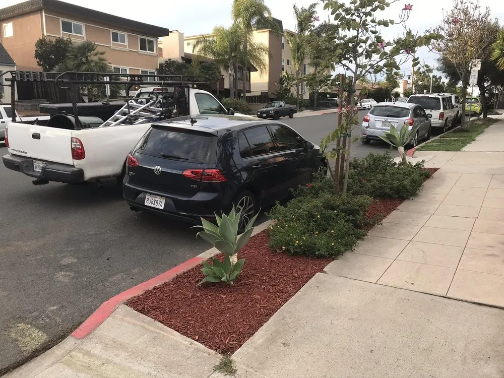 Custom yard maintenance in Escondido, CA - Ace Lawn Care