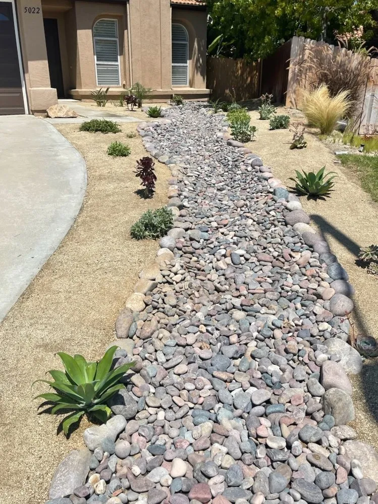 Reliable yard cleanup service in Escondido, CA - Ace Lawn Care