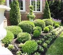 Custom lawn mowing service near you in Madison, MS by Ace Lawn Care