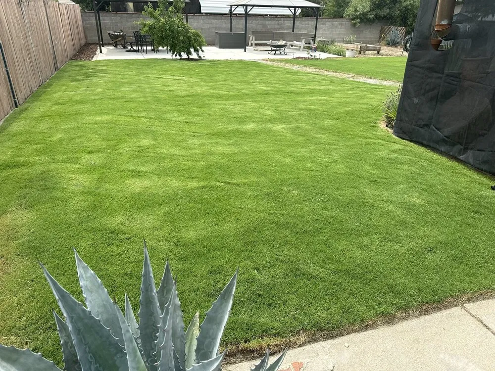 Expert residential landscaping for year-round maintenance in Fresno, CA by Ace Lawn Care Services