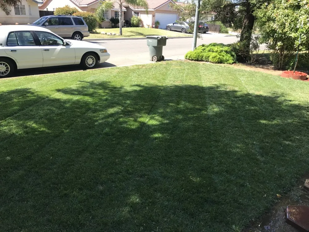 Affordable outdoor landscaping in Fresno, CA - Ace Lawn Care Services