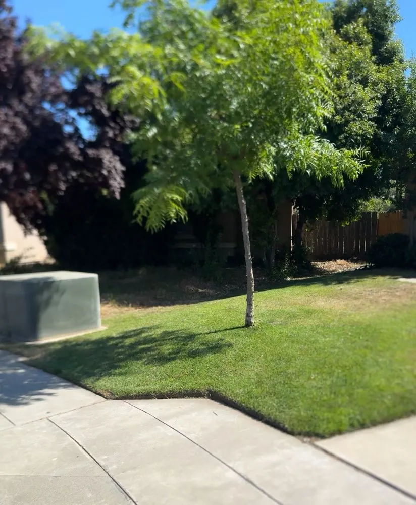 Affordable landscaping services with custom design in Fresno, CA by Ace Lawn Care Services