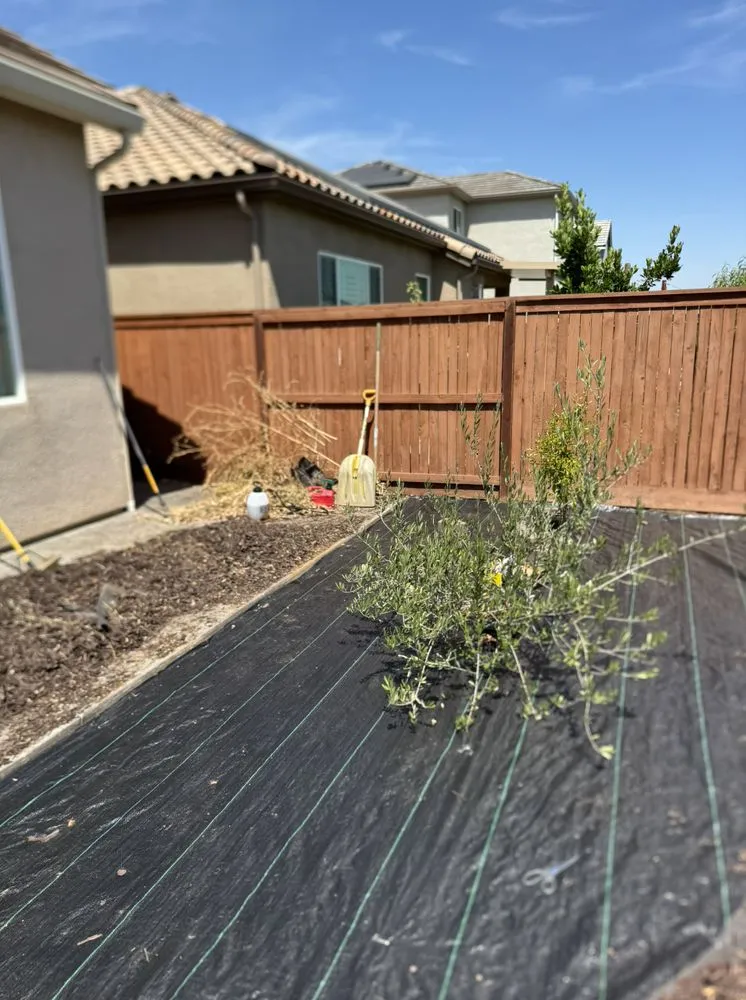 Custom lawn care service for residential properties in Fresno, CA by Ace Lawn Care Services