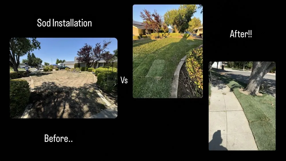 Reliable outdoor landscaping for residential properties in Fresno, CA by Ace Lawn Care Services