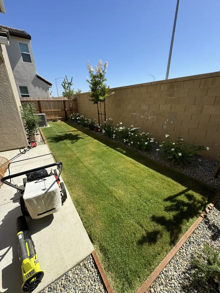 Top-rated landscape design in Fresno, CA - Ace Lawn Care Services
