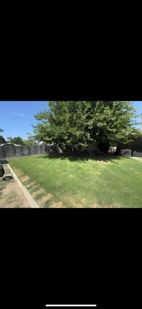 Custom residential landscaping for outdoor upgrades in Fresno, CA by Ace Lawn Care Services