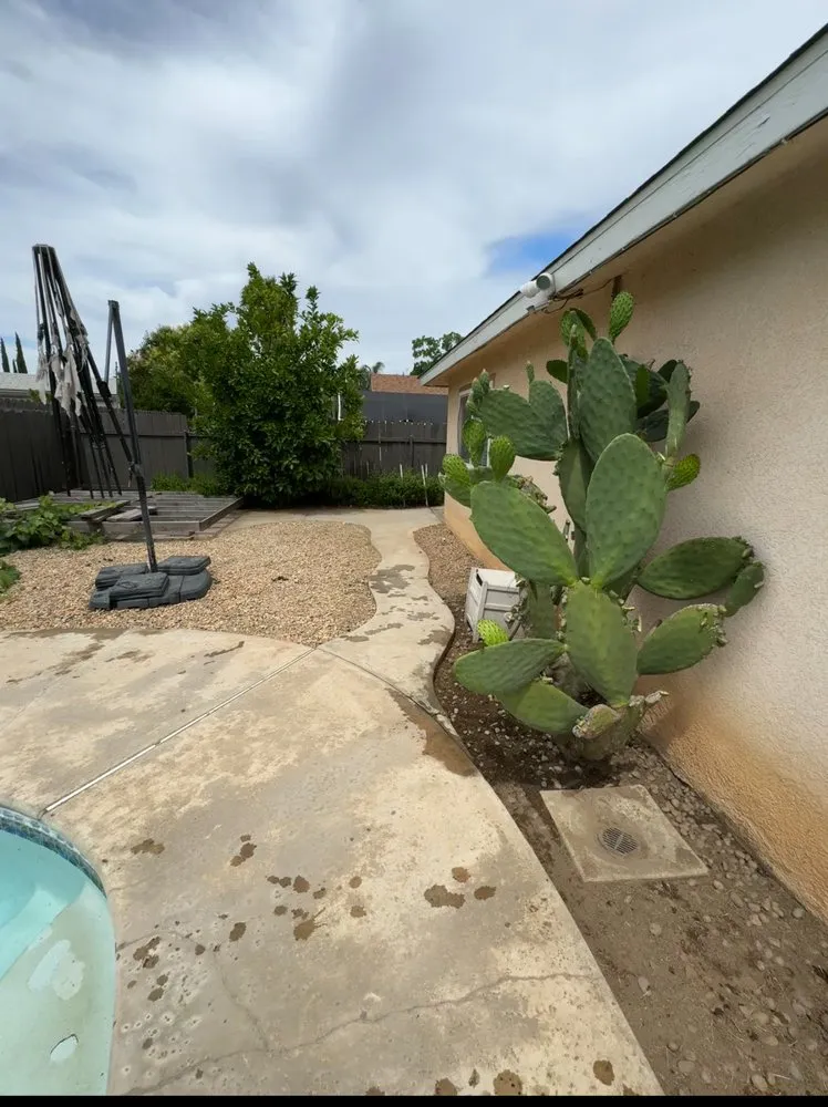 Expert yard maintenance experts serving Fresno, CA - Ace Lawn Care Services