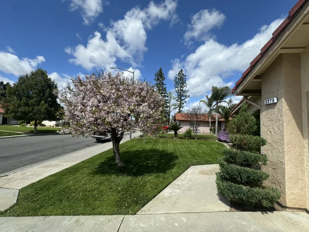 Trusted garden landscaping experts serving Fresno, CA - Ace Lawn Care Services