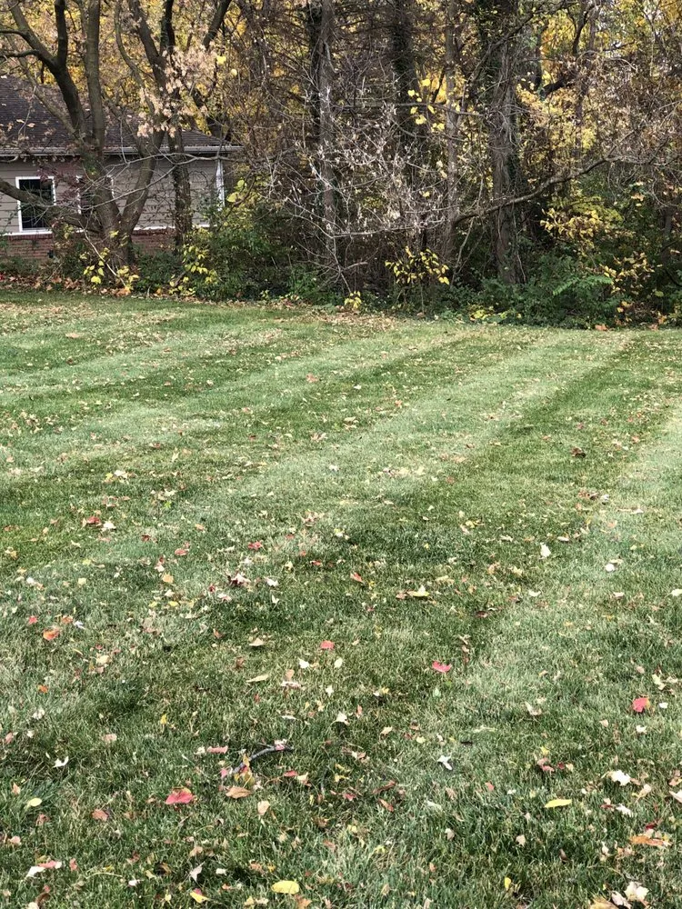 Trusted landscape installation in Perrysburg, OH by Ace Lawn Care Services