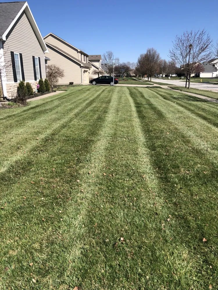 Affordable lawn care service in Perrysburg, OH by Ace Lawn Care Services