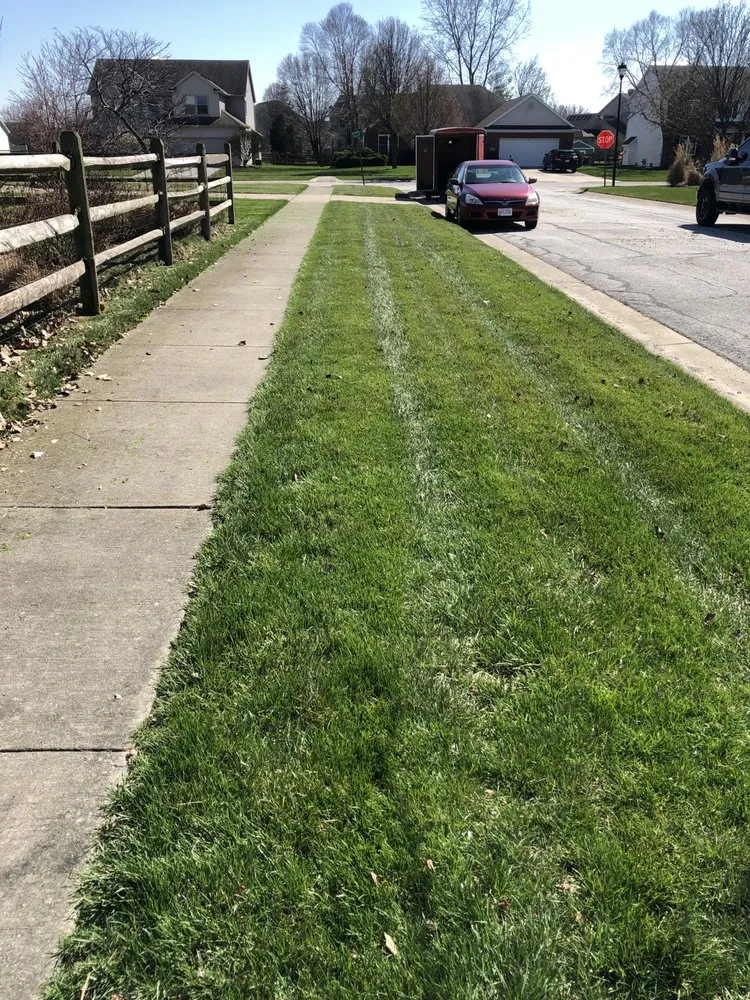 Reliable yard cleanup service experts serving Perrysburg, OH - Ace Lawn Care Services