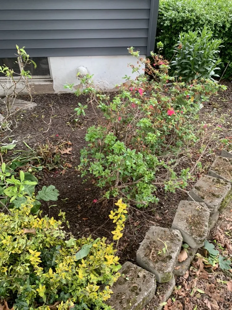 Expert outdoor landscaping experts serving Shelton, CT - Ace Lawn care