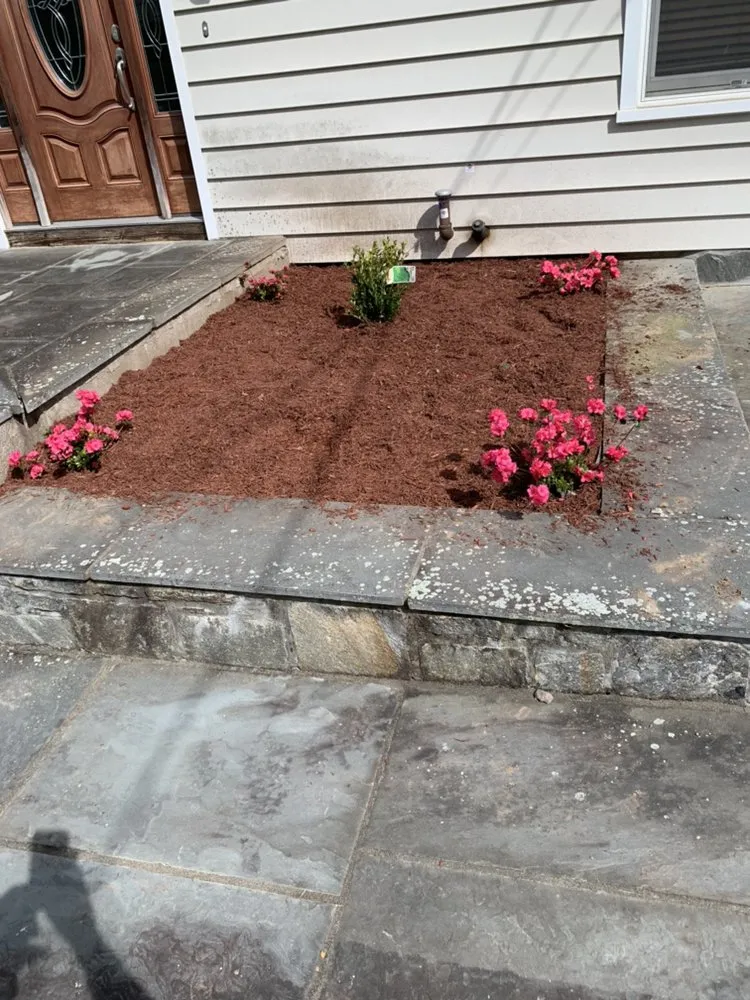 Top-rated lawn care service near you across Shelton, CT - Ace Lawn care