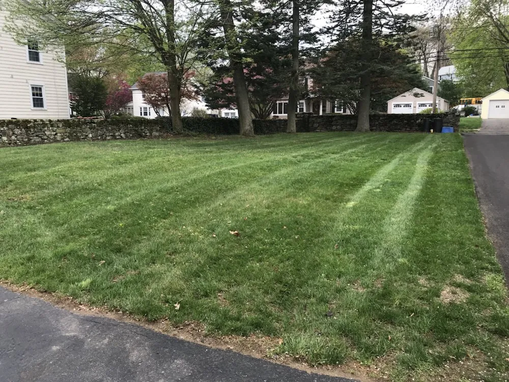 Custom landscaping services for year-round maintenance in Shelton, CT by Ace Lawn care