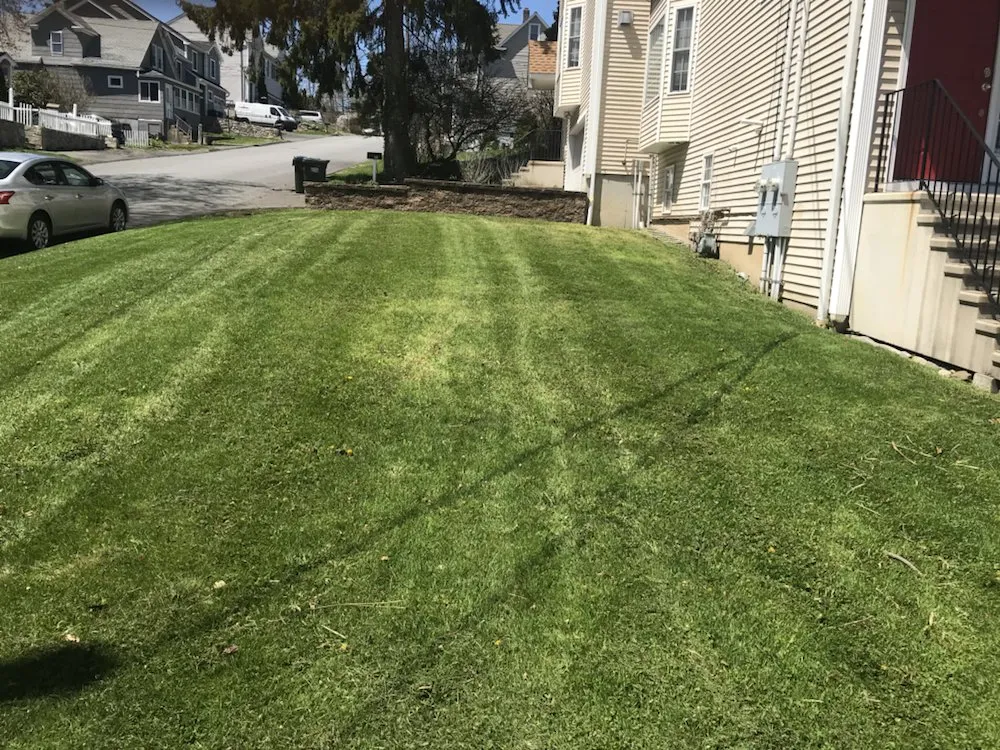 Top-rated outdoor landscaping in Shelton, CT - Ace Lawn care