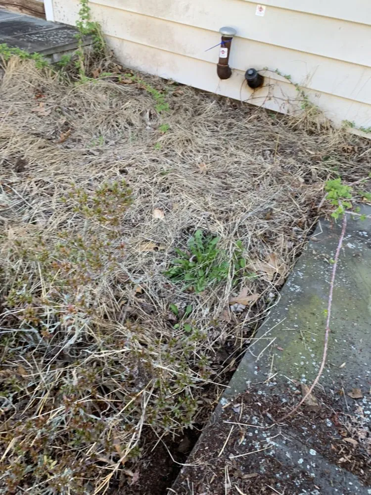 Custom lawn care service for residential properties across Shelton, CT - Ace Lawn care