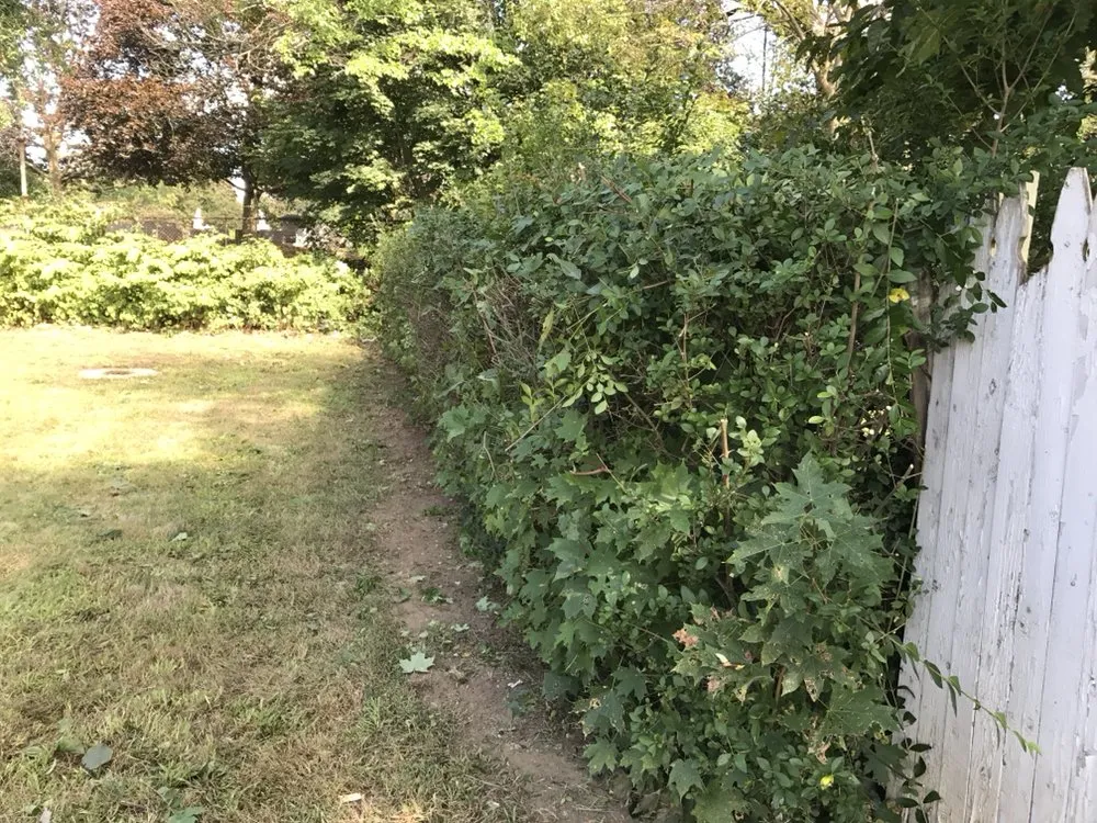 Top-rated garden landscaping for outdoor upgrades across Shelton, CT - Ace Lawn care