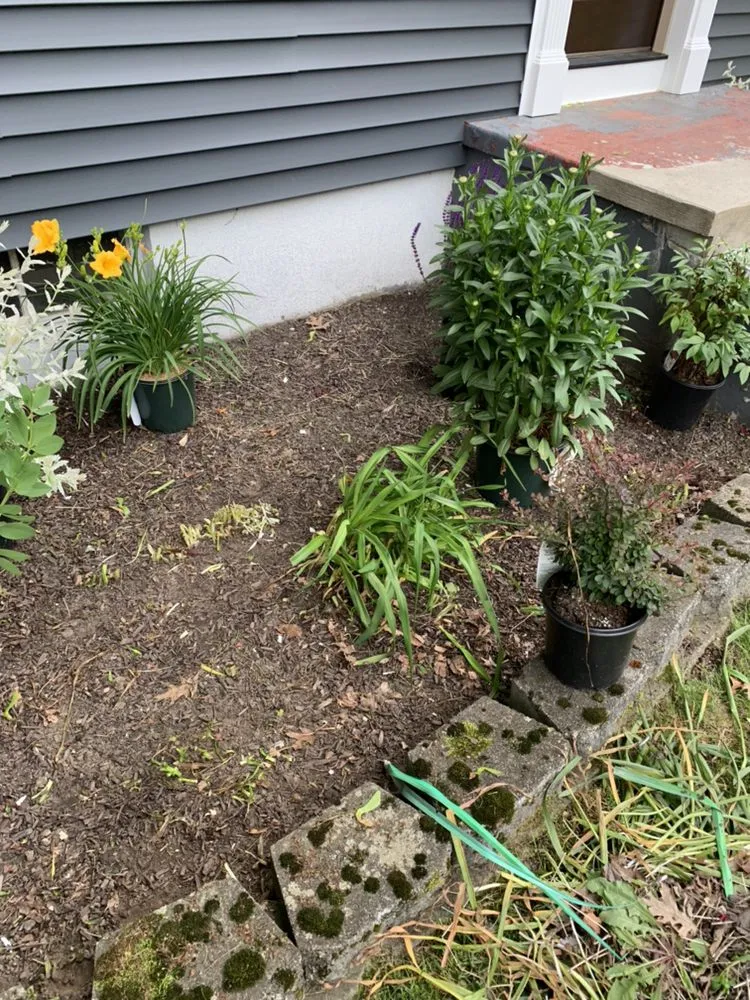 Expert lawn mowing service in Shelton, CT by Ace Lawn care