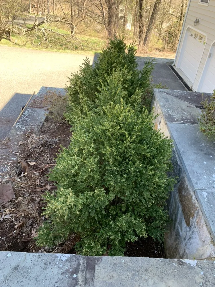 Professional garden landscaping for outdoor upgrades in Shelton, CT by Ace Lawn care