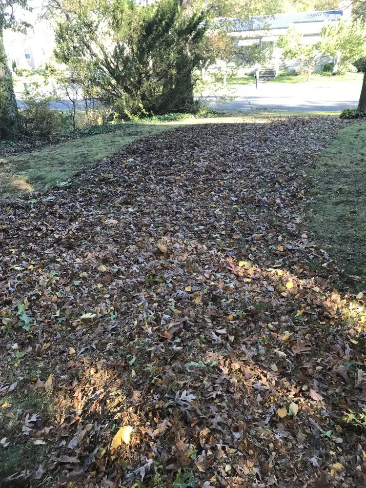 Expert lawn care service experts serving Shelton, CT - Ace Lawn care